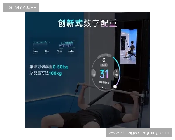 室内健身器材网店加盟指南及盈利模式解析