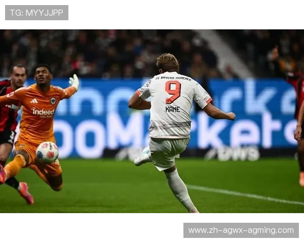 德甲左派球队的社会与文化背景